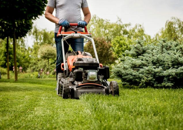 Ensemble pour des espaces verts de qualité